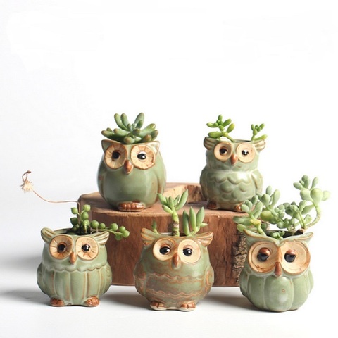 5 Pcs/Set Creative Ceramic Owl Shape Flower Pots  New Ceramic Planter Desk Flower Pot Cute Design Succulent Planter Pot ► Photo 1/4
