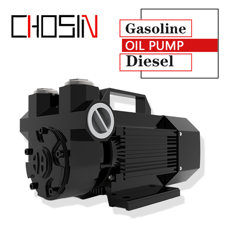 12V 24V gasoline pump with explosion-proof system Self-Priming electric oil micro pump, diesel pump 600 W 60l/min ► Photo 1/1