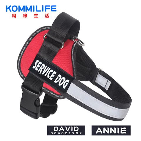 Nylon Reflective Dog Harness Vest Adjustable Personalized Dog Name harness and leash Set Small Medium Large Dog Harness ► Photo 1/6