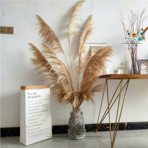 55-60cm Dried Flower Natural Reeds Big Pampas Grass Ornamental Wedding Shop Decoration Ornament Home Decor Home Decoration ► Photo 1/6