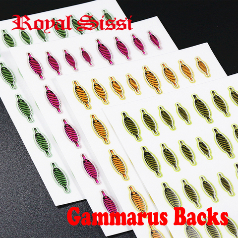 RoyalSissi 160pcs set fly tying scud gammarus backs 4sizes assort shrimp backs realistic nymph fly thin skin fly tying materials ► Photo 1/6