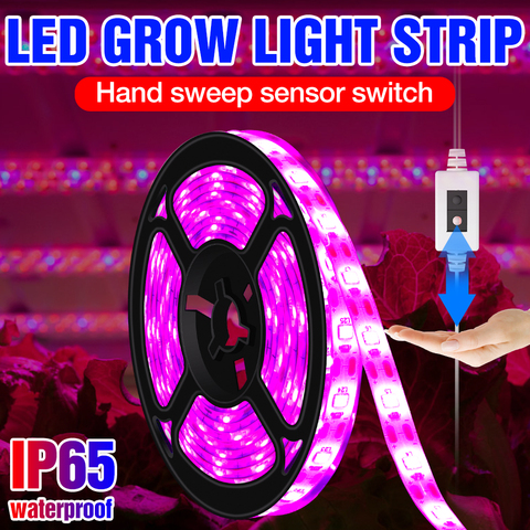 LED Full Spectrum Grow Light Strip 0.5m 1m 2m 3m USB Plant Lamp 5V Seedling Fito Lights LED Waterproof Flower Phyto Growth Lamp ► Photo 1/6