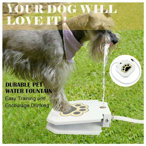 Outdoor Automatic Dog Water Fountain Step On Toy Dog Drinking Joy With Pets Security Without Electricity For Dogs Drinking ► Photo 1/6
