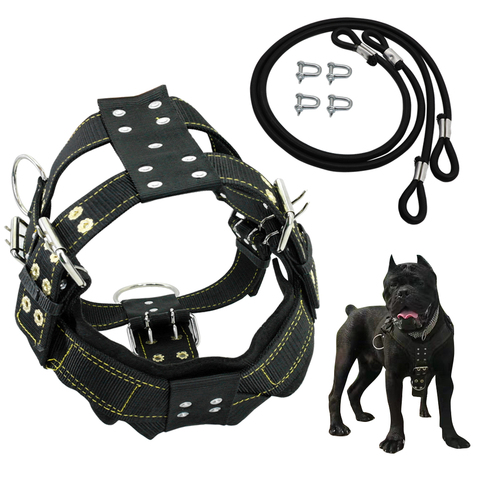 K9 Durable Dog Harness and Leash for Medium Large Dogs Heavy Duty French Bulldog Harness Vest Nylon Training Dog Harness Leads ► Photo 1/6