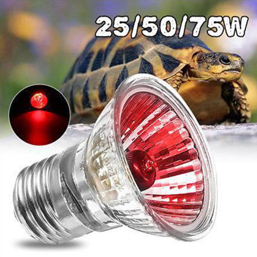 25/50/75/100W UVA Day Night Light Amphibian Snake Lamp Heat Reptile Bulb 220V 