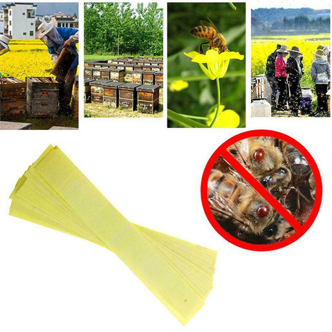 20pcs Fluvalinate Strips Anti Insect Pest Controller Acaricide Against Strip Miticide Bee Mite Killer Beekeeping Farm Medicine ► Photo 1/6