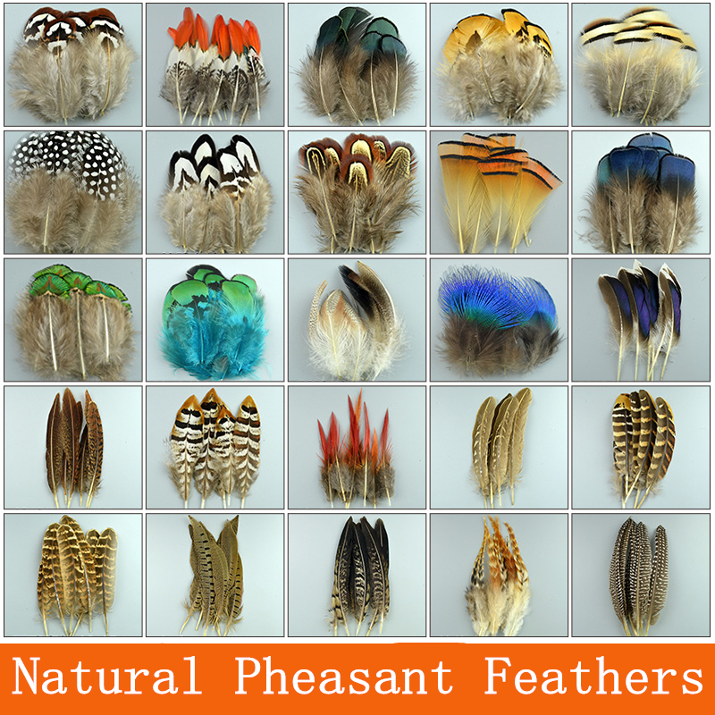 Natural Pheasant Feathers For