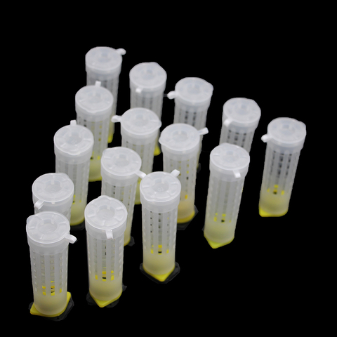20PCS Beekeeping Bee Plastic Queen Rearing Cage Cup Box Protection Cover Catcher Protective Base Bees Tools Supplies Equipment ► Photo 1/6