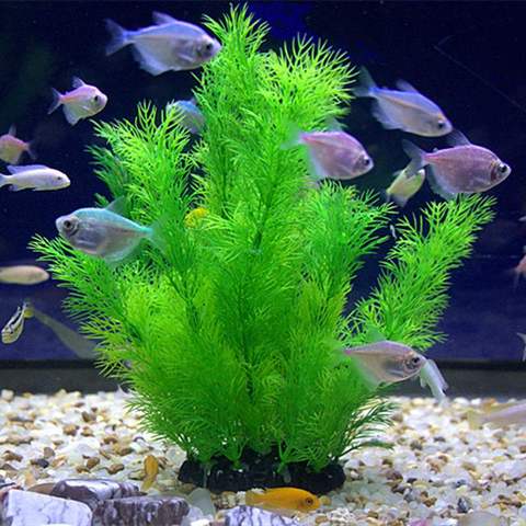 Artificial Plastic Water Plant Grass Aquarium Fish Tank Decoration Underwater Plants Simulation Water Grass Landscape Decoration ► Photo 1/6