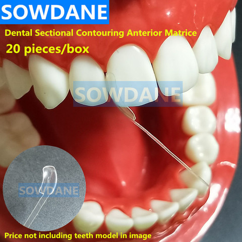 Dental Sectional Contoured Matrice Dental Transparent Proximal Anterior Matrix Dental Strips Cervical Matrices Dentist Material ► Photo 1/3