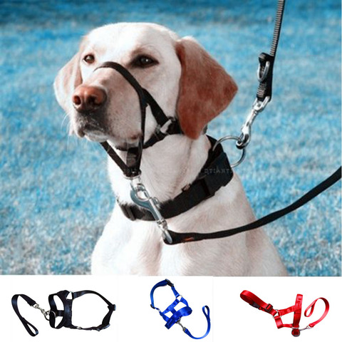 Creative Dog Halter Halti Training Head Collar Gentle Leader Harness Nylon Breakaway All Seasons Usefull Harnesses Lead hot ► Photo 1/6