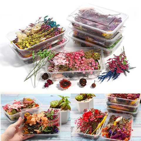 1Box Mixed Real Dried Flowers Dry Plants Pressed Flowers for DIY Epoxy Resin  Jewelry Making Pendant Necklace Crafts Accessories ► Photo 1/6