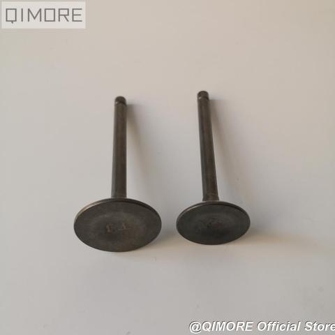 Intake Valve & Exhaust Valve for Motorcycle Virago XV250 V Star 250 Route 66 KEEWAY Cruiser Dorado Vento V-thunder COLT 2V49FMM ► Photo 1/6