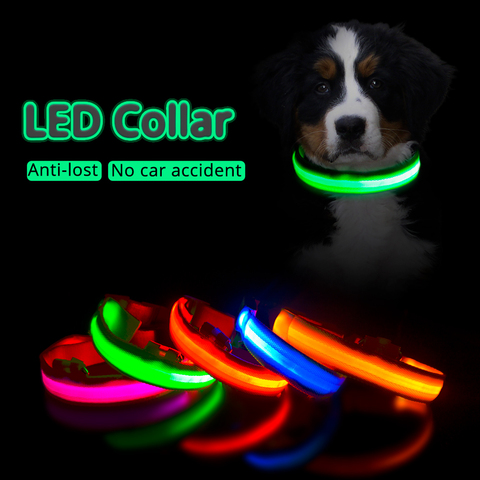 USB Charging Led Dog Collar Anti-Lost/Avoid Car Accident Collar For Dogs Puppies Dog Collars Leads LED Supplies Pet Products ► Photo 1/6