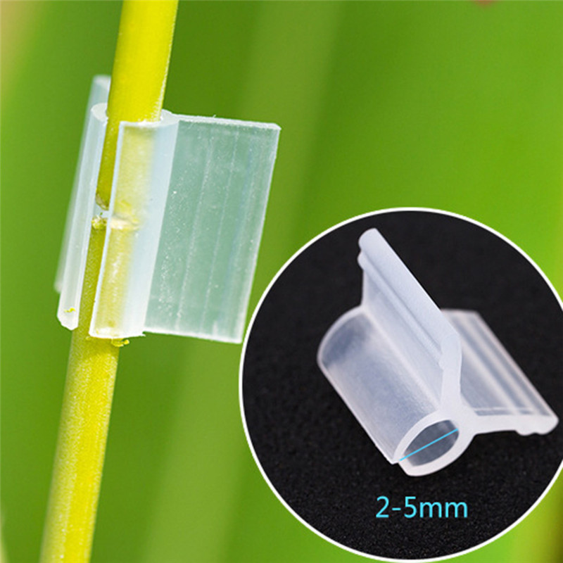 50pcs White Horticultural Grafting Clip 2-5mm Round Tube Stake Garden Retaining Clip Greenhouse Frame Pipe Gardening Supplies ► Photo 1/6