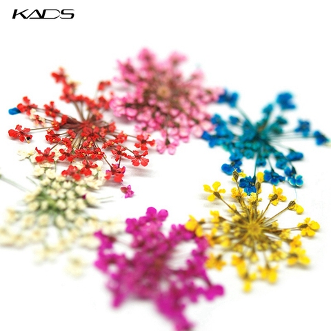 KADS 10pcs Star Cluster Dried Flowers Nail Decorations Natural Floral Leaf Stickers for Nail Art Manicure Tools Nail Accessories ► Photo 1/6