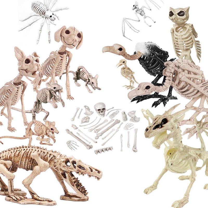 Halloween Decoration Bone Props Animals Skeleton Ornaments Bat ...