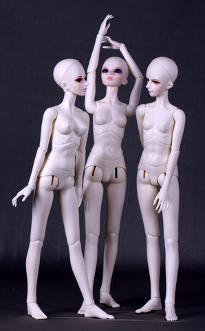 [wamami] Angel Of Dream 1/4 1/3 Female AOD Girl Nude Body BJD Doll Dollfie (Without Head) ► Photo 1/6