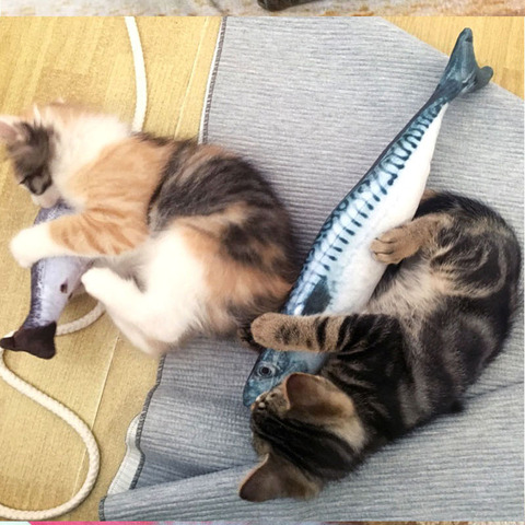 Simulation Fish Cat Toys Soft Plush Catnip Toy Interactive Cat Toys Gifts Funny 3D Fish Shape Doll Pet Supplies ► Photo 1/6