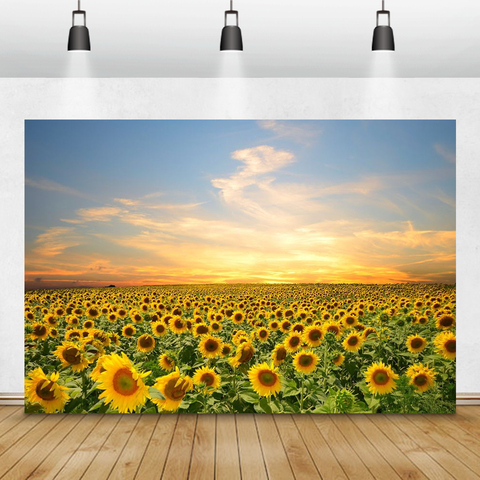Laeacco Sunset Sunflower Field Natual Landscape Scenery Room Decro Photography Background Photographic Backdrop For Photo Studio ► Photo 1/6