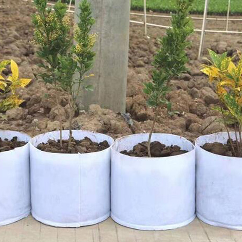 Non Woven Grow Bag Aeration Pot Containers Plant bag 5 Size Root Container White Round Fabric Pots 1pcs ► Photo 1/6