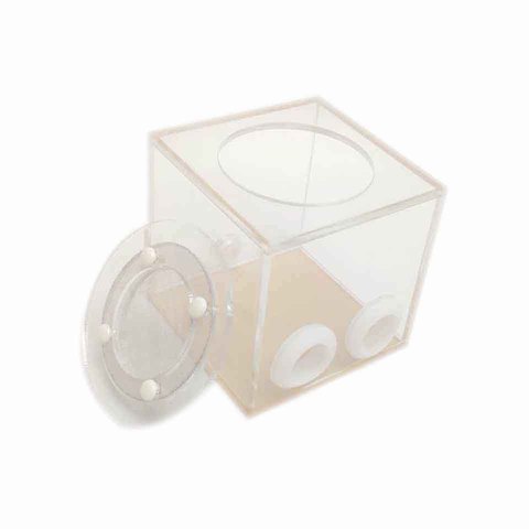 Double Tube Ant Farm Plastic Transparent Reptile Terrarium For Young Colonies messors Insect Supplies ► Photo 1/6