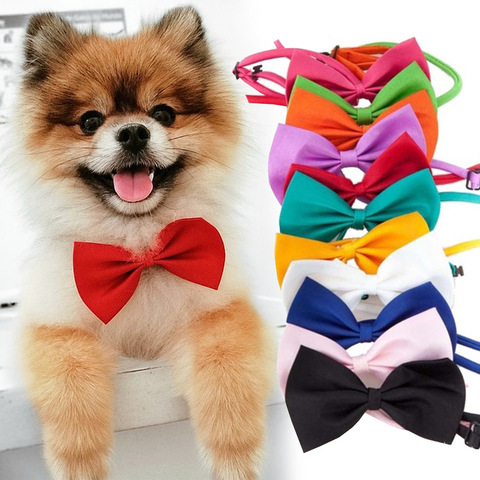 Pet Dog Cat Necklace Adjustable Strap for Cat Collar Dogs Accessories pet dog bow tie puppy bow ties dog Pet supplies ► Photo 1/6