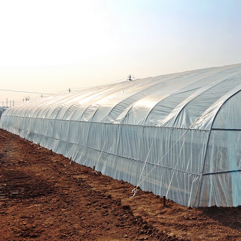 Vegetable greenhouse Greenhouse shelf Greenhouse tent Greenhouse cover Lighting greenhouse  Greenhouse agriculture greenhouse ► Photo 1/6