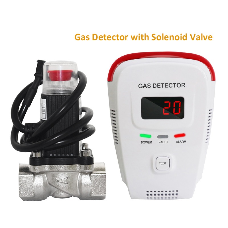 yieryi Home Standalone Plug-In Combustible Gas Detector LPG LNG Coal Natural  Gas Leak Alarm Sensor