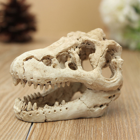 1 Pcs Dragon Resin Aquarium/Terrarium Decoration Crocodile Skull For Fish Tank Resin Ornament Decorate Your Aquarium ► Photo 1/6