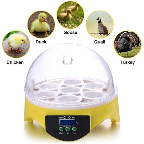 Mini 7 Egg Incubator Poultry Incubator Brooder Digital Temperature Hatchery Egg Incubator Hatcher Chicken Duck Bird Pigeon ► Photo 1/6
