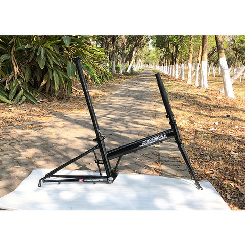 Anemos 20/22 Inch Folding Bike Frame 451 22 Speed Travel Casual Rim Brake Folding Bicycle Steel Frame ► Photo 1/6