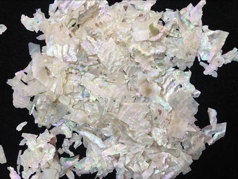 Natural Abalone Shell Flakes and Ordinary Shells for Nail,Resin,Craft ► Photo 1/6