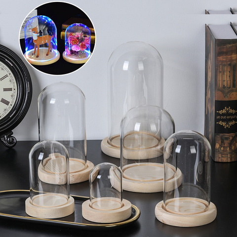 Terrarium Bottle with Wooden Base Acrylic Dust Cover Glass Cloche Jar Display Stand Cover Display Box Immortal Flower Box ► Photo 1/6