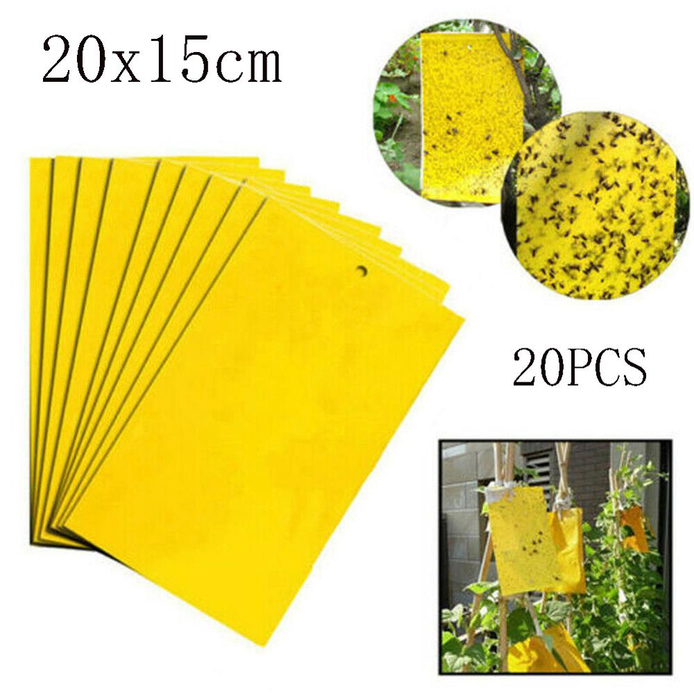 TH_ 20Pcs Sticky Fly Trap Paper Yellow Traps Fruit Flies Insect Glue Catcher 