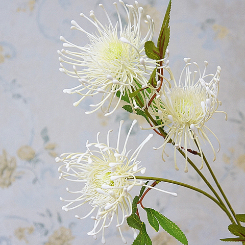 White Leucospermum Artificial Flowers Long Branch Fake Flower Plastic Flowers for Wedding Decoration Garden Outdoor High Quality ► Photo 1/6