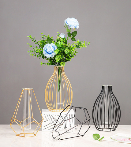 Nordic Simple Golden Glass Vase Hydroponic Plant Flower Vase Iron Geometric Glass Test Tube Metal Plant Holder Modern Home Decor ► Photo 1/6