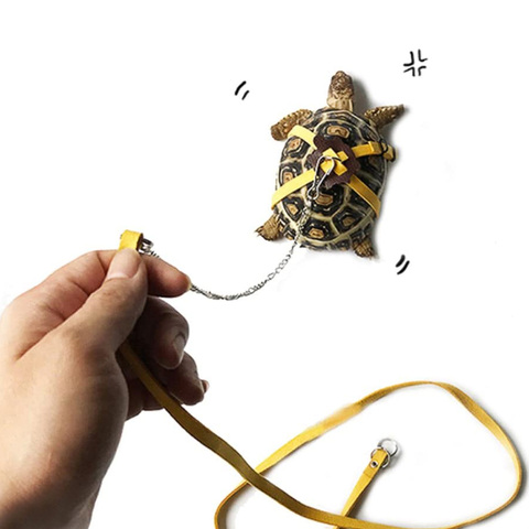 Adjustable PU Leather Pet Turtle Tortoise Reptile Lizard Harness Leash Strap Lead Control Rope Traction Belt for Walking Outdoor ► Photo 1/5