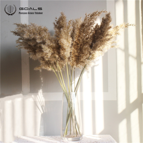 10 pcs 20pcs Free shipping real dried pampas grass decor wedding flower bunch natural plants fall decor for home christmas gift ► Photo 1/6
