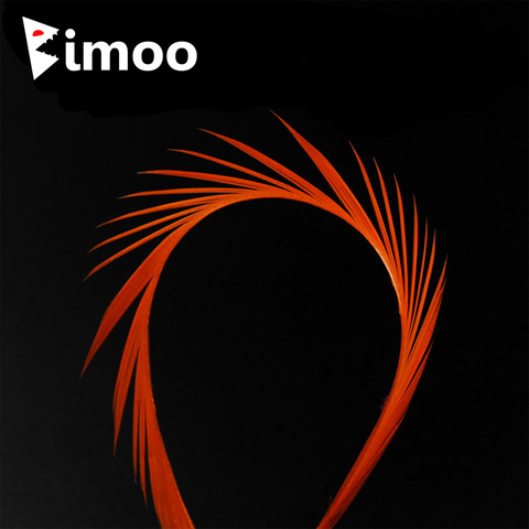 Bimoo 12pcs 12 Color Stripped Goose Biots Feather Fly Tying Material for Nymph Lava Flies Split Tail Wing Case Antennae ► Photo 1/6