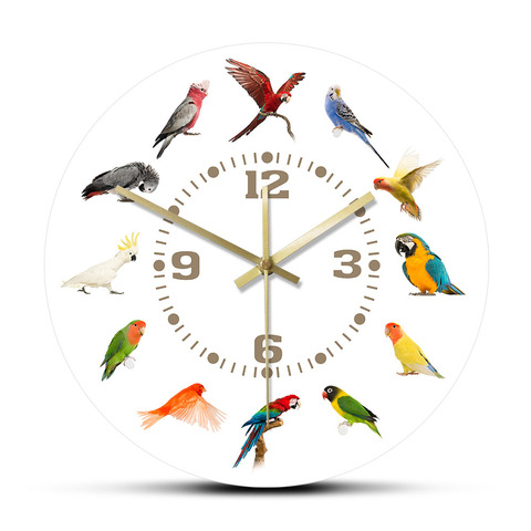 Birds Breeds Collection Modern Wall Clock Non Ticking Wall Watch Parrot Bird Pet Species Exotic Wall Art Bird Lovers Home Decor ► Photo 1/6