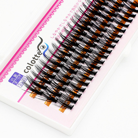 60 Bundles Luxury Thick Cluster EyeLashes Extension 3D Russian Volume Grafting Fake False 20D 30D Mink Eyelash Bunche Cilias ► Photo 1/6