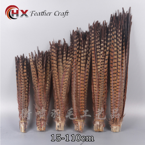 10Pcs/Lot Natural Ringneck Pheasant Tail Feathers for Crafts 25-75CM 10-30