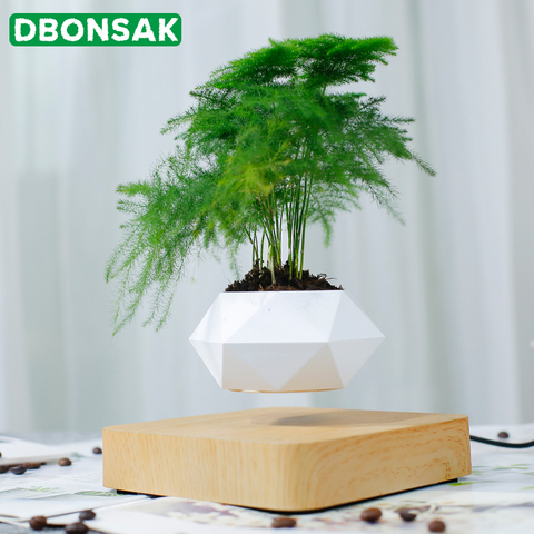 Levitating Air Bonsai Pot Magnetic Levitation Plants Planter Flower Pots Potted Succulent Plant Home Desk Office Decoration Gift ► Photo 1/6