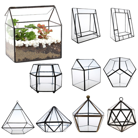 Home Garden Glass Planter Open Terrarium Box Fern Moss Plant Display Case Pot ► Photo 1/6