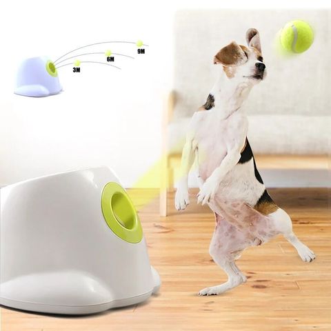 Catapult Fordog Ball Launcher Tennis Automatic Throwing Machine Ball Throw Device Transmitter Interactive Toy Puppy Speelgoed ► Photo 1/6