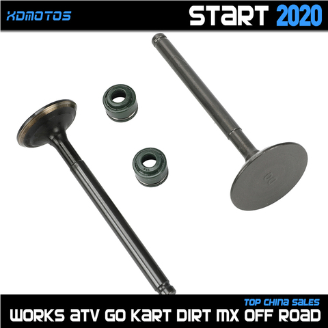 Motorcycle Intake exhaust valves with Oil Seal kit For 60mm Bore YinXiang YX 150 160 150cc 160cc Engine Dirt Pit Bikes ATV Parts ► Photo 1/3