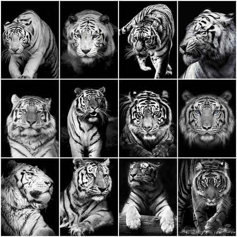 Evershine Diamond Painting Black White Animals 5D DIY Diamond Embroidery Tiger Rhinestone Pictures Mosaic Art Home Decoration ► Photo 1/6