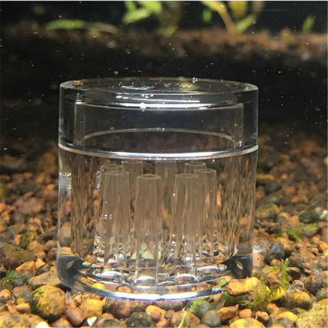 8 Hole Snail Trap Transparent Leech Vivarium Planarian Pest Catch Pen Red Bee Shrimp Worm Bait Feeding Box Aquarium Cleaner Tool ► Photo 1/6