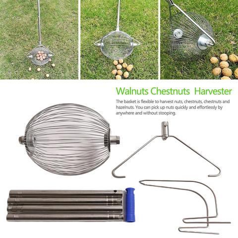 Walnuts Chestnuts Harvester Aluminum Alloy Fruit Collector Quick Fruit Picker Ball Picking Orchard Tool Garden Roller Harvester ► Photo 1/6